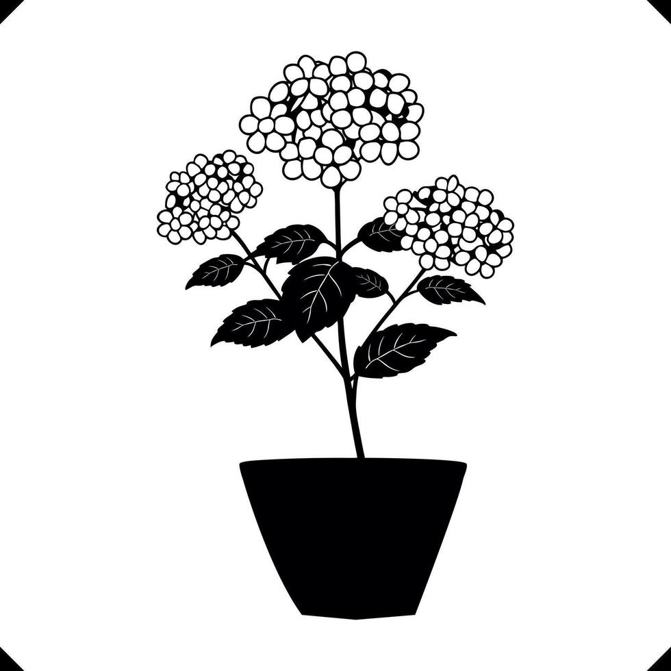 Silhouette of a hydrangea cluster with tiny rounded florets vector
