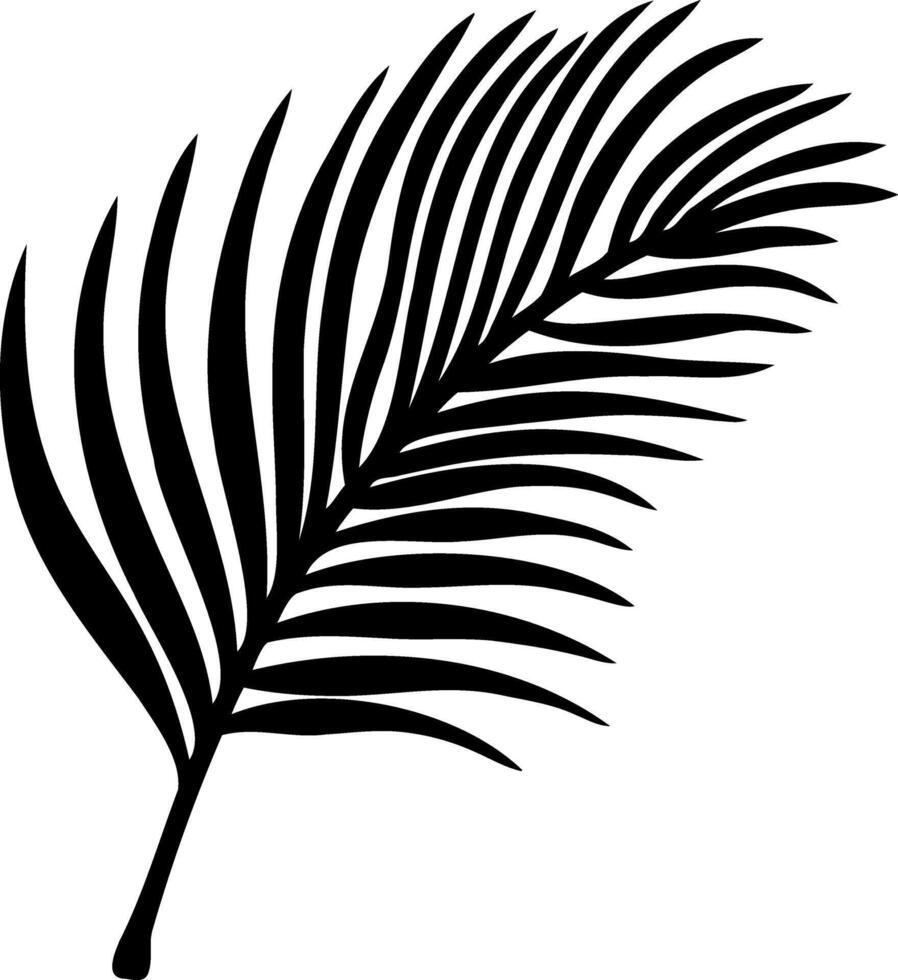 Doodle palm leaf icon isolated. Stencil black clipart vector