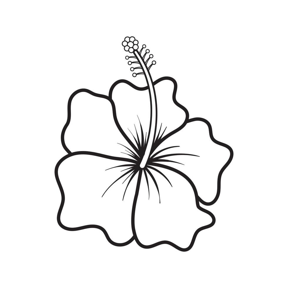 Elegant Tropical Hibiscus Flower Line Art vector