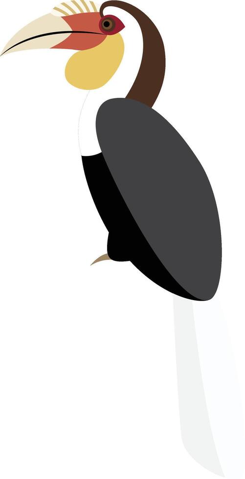 Plain-pouched Hornbill, Rhyticeros subruficollis vector