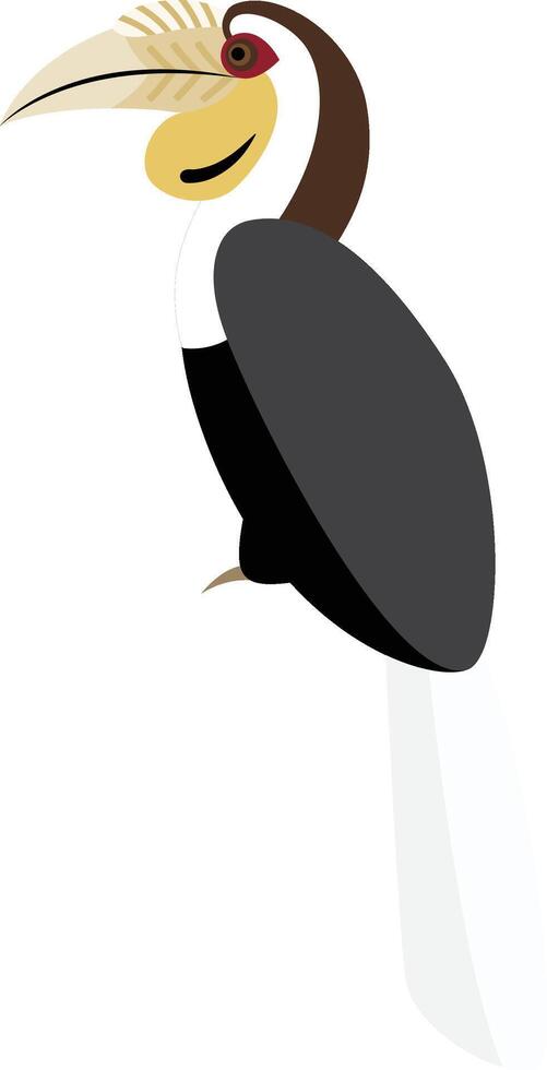 Wreathed Hornbill, Rhyticeros undulatus vector