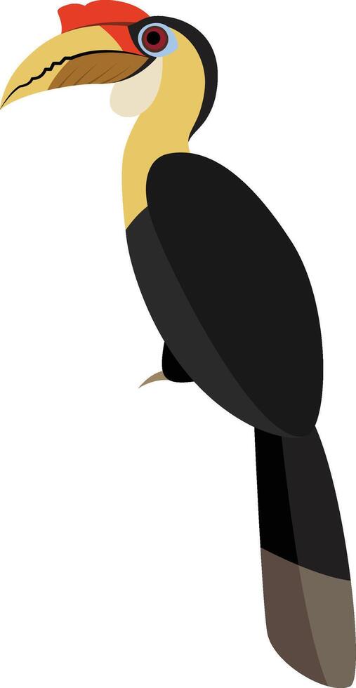 Wrinkled Hornbill, Rhyticeros corrugatus vector