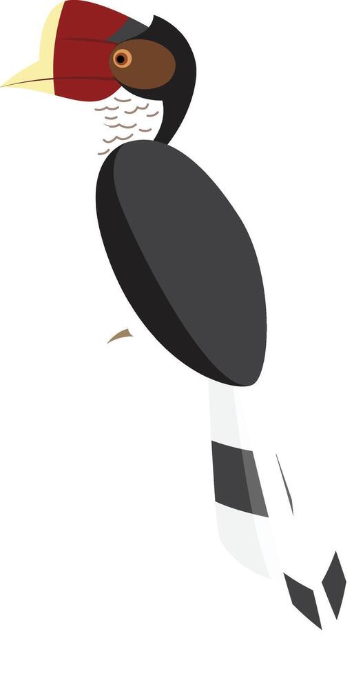 Helmeted Hornbill, Rhinoplax vigil vector