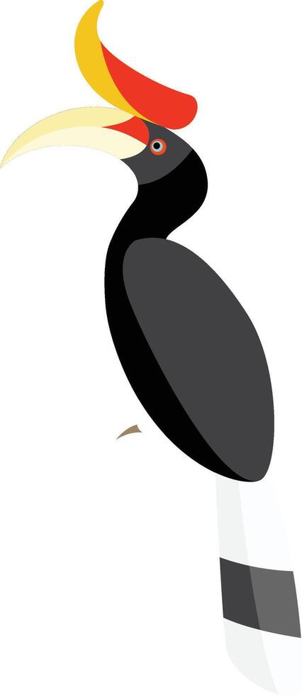 Rhinoceros Hornbill, Buceros rhinoceros vector