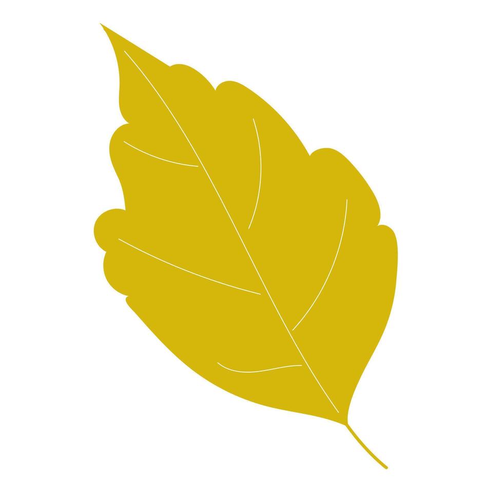 Yellow ash leaf on isolated white background. Single hand drawn plant element. Autumn illustration. vector