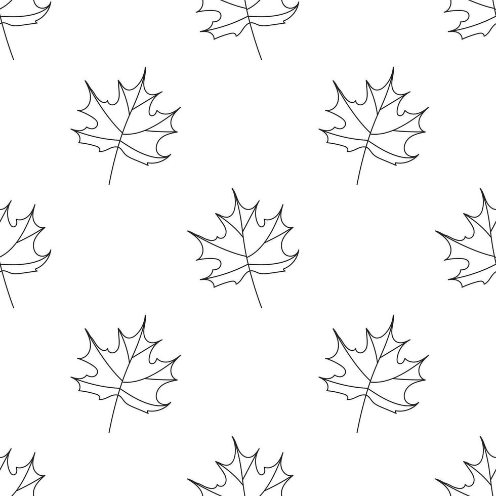 Seamless pattern of outline leaves. Maple foliage doodle design. Autumn. . vector