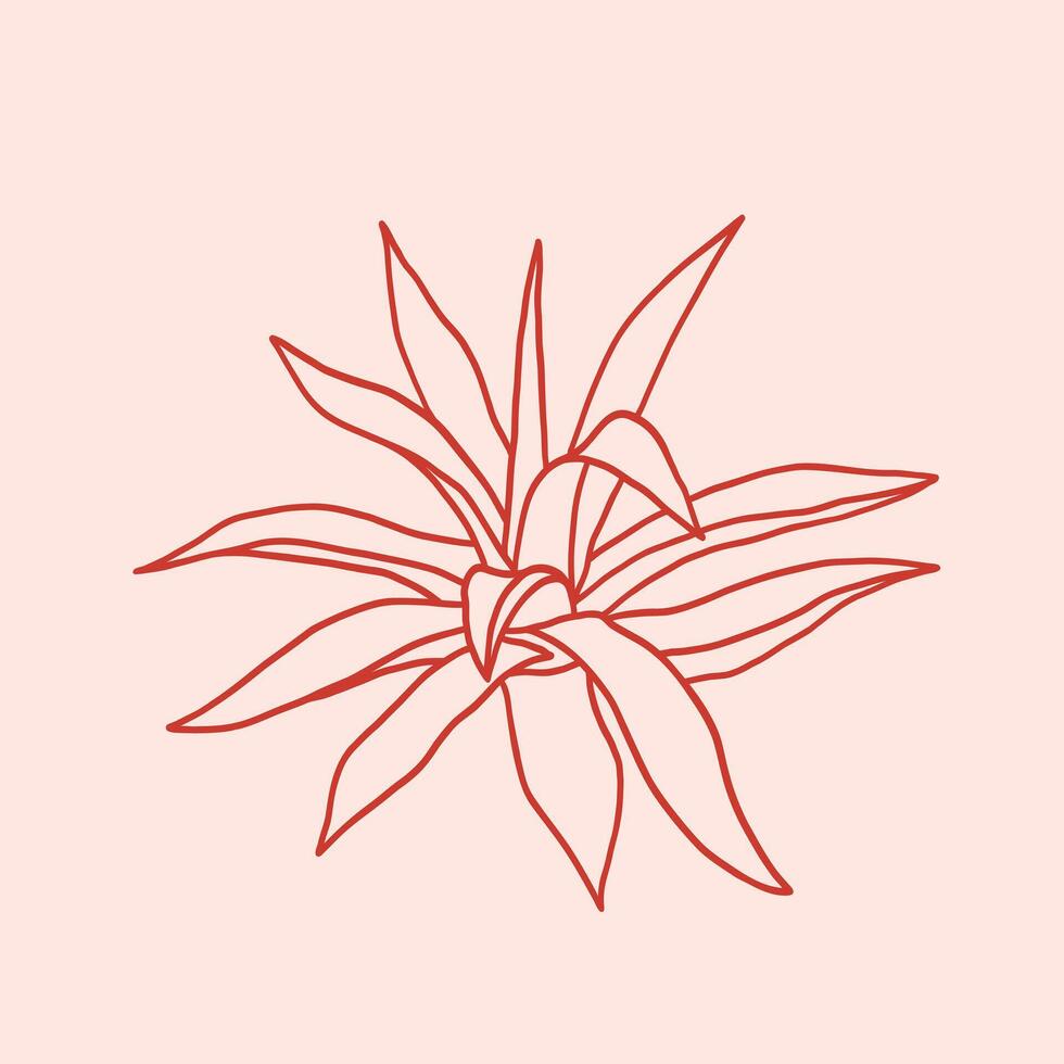 Agave desert plant. Hand drawn exotic Aloe vera succulent. Summer tropical design element. Wild West decor for birthday, wedding, holiday, party vector
