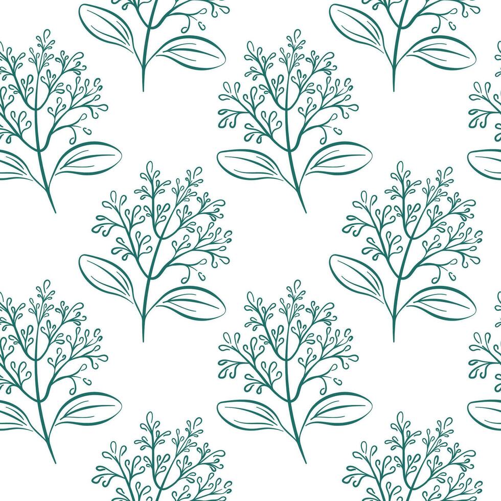 Seamless pattern with cinnamon flower branch drawn in line art style on white background. Perfect for botanical, herbal or spice themed packaging and design project. vector