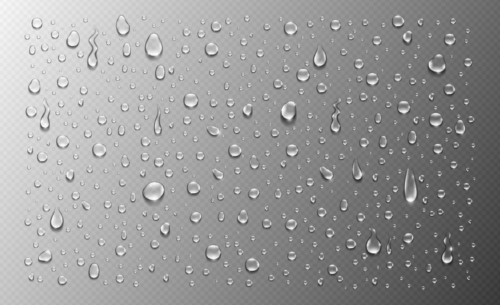 Realistic water drops. Ideal for weather effects, glass textures, or moisture design elements. vector
