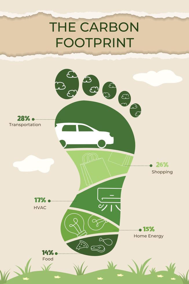 Infographic on carbon footprint sources vector