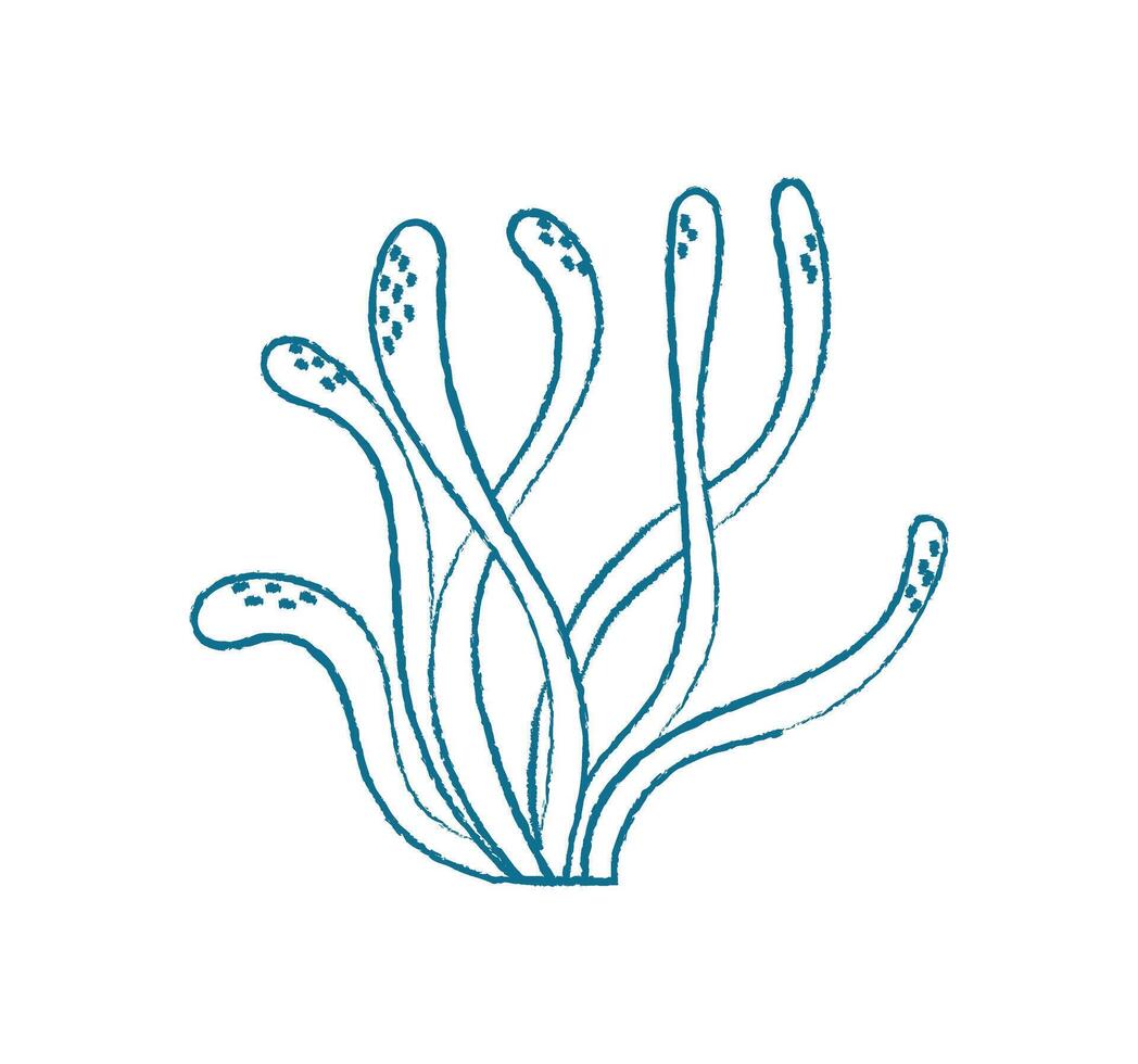 Underwater seaweed doodle. Aquatic plant illustration. Marine flora, flat style, perfect for summer themes and undersea projects. Ideal for posters, flyers, and educational materials. vector