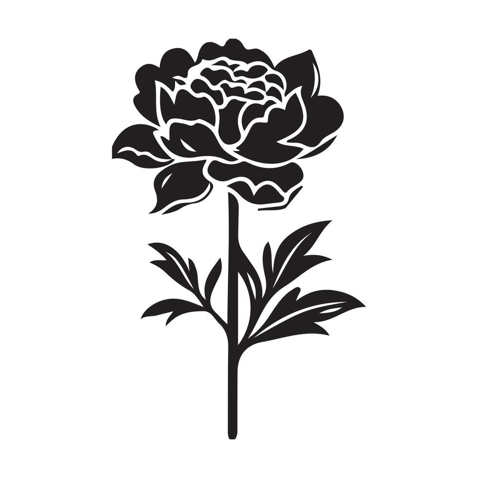 Rose flower illustration with floral design and natural elements vector