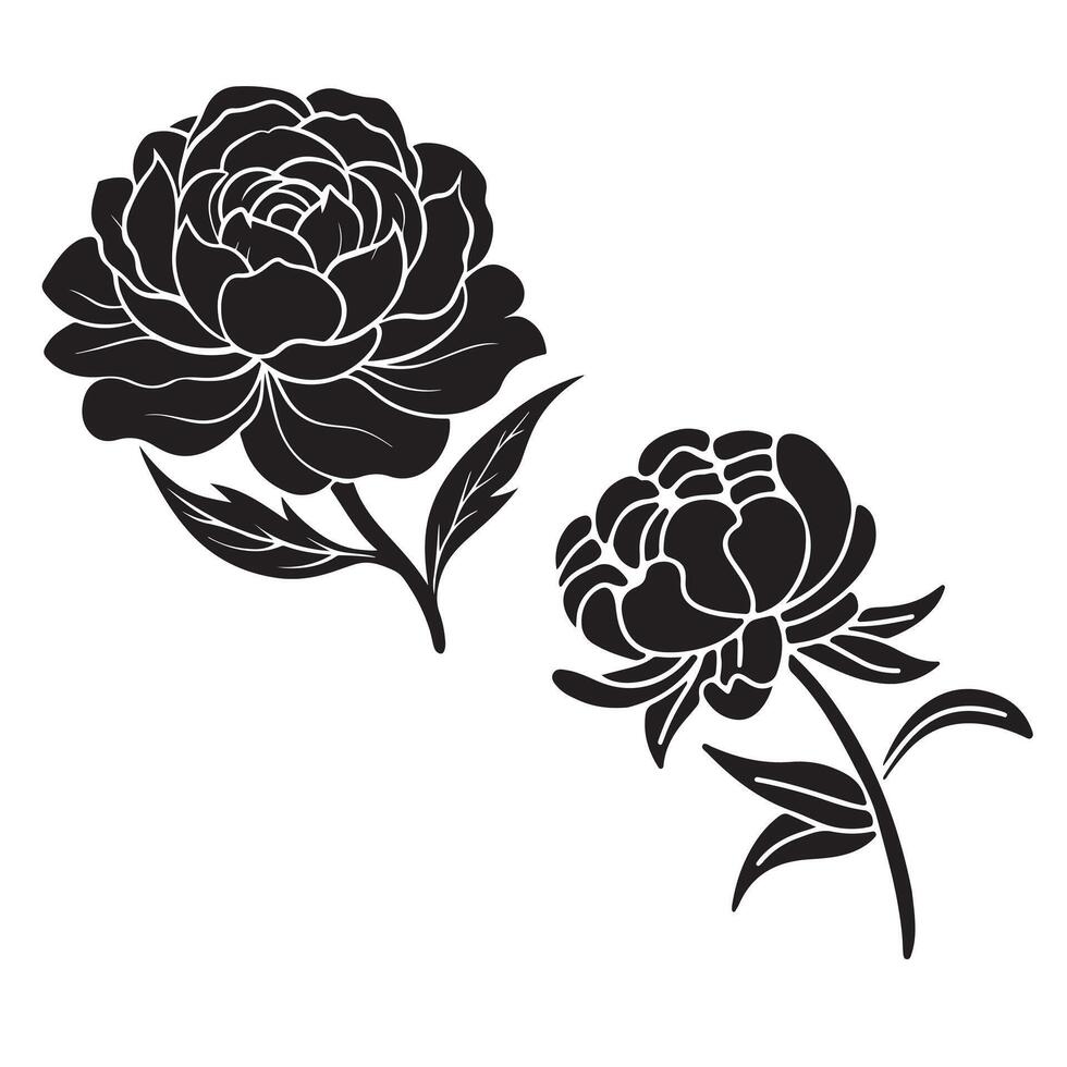 Rose flower illustration with floral design elements in vintage style vector