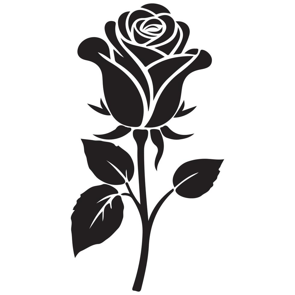 Black rose illustration with floral design and decorative botanical elements vector