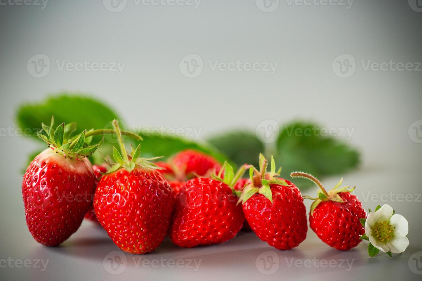 Ripe strawberries on a stylish gray photo