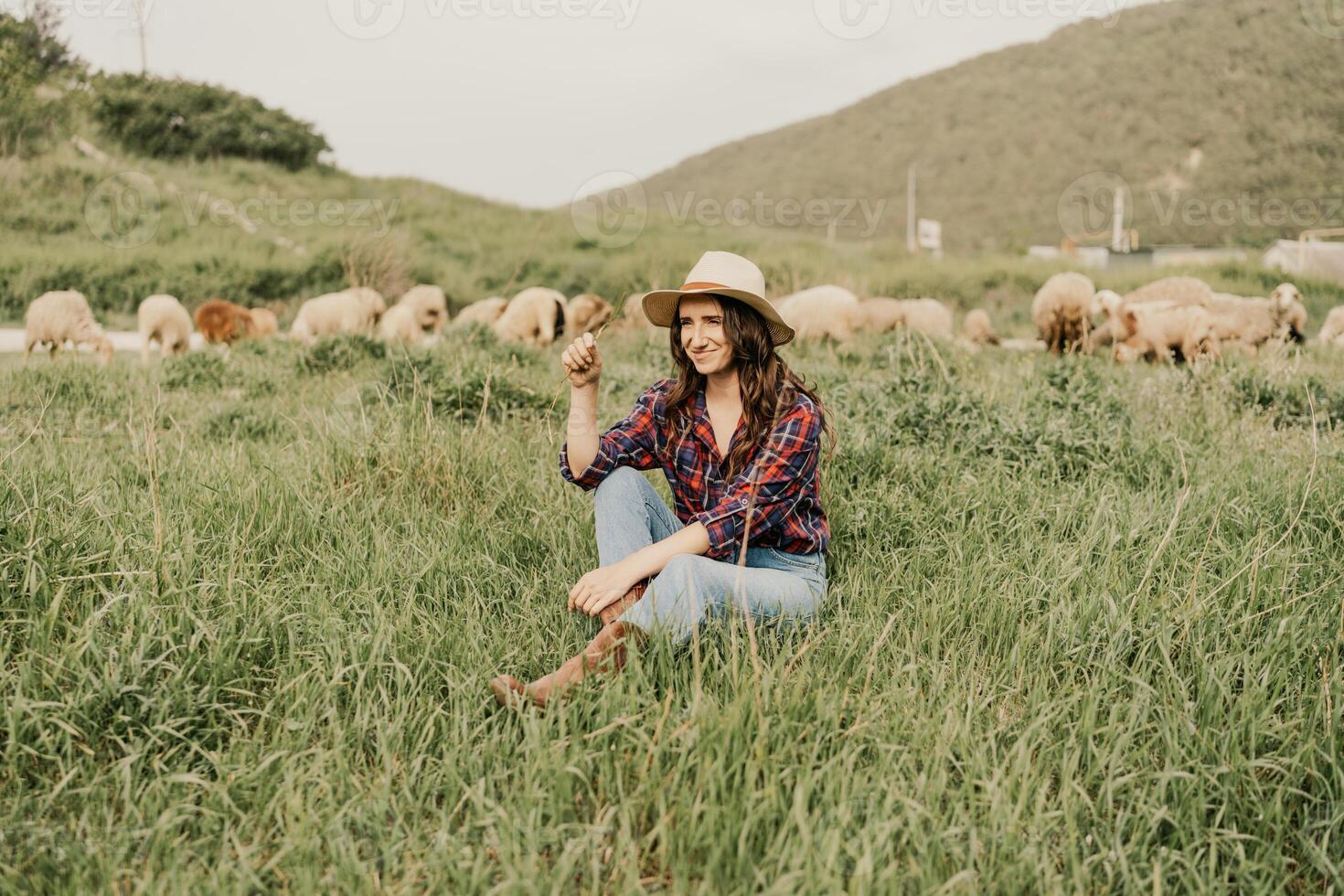 A woman in a plaid shirt and jeans sits in a field with a group of sheep photo
