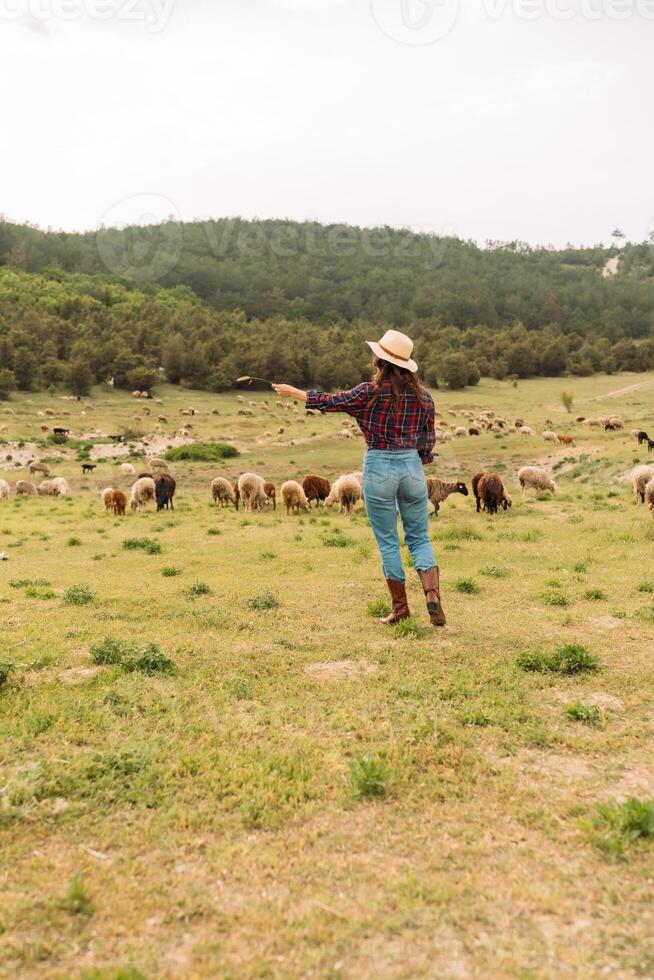 A woman in a cowboy hat is standing in a field with a herd of sheep photo