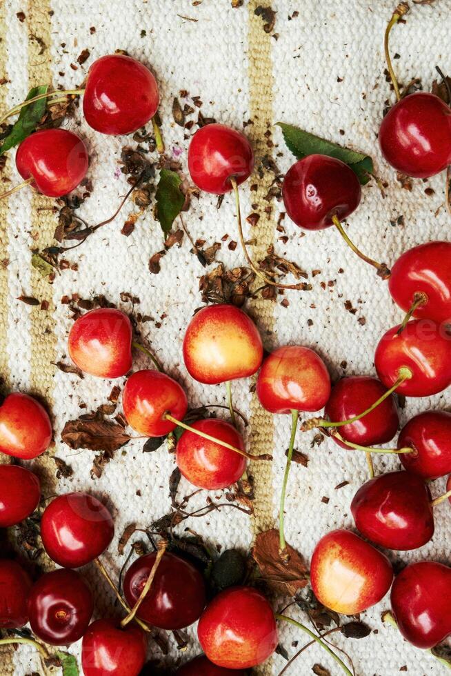 Bunch of red cherries are scattered on a white background. Phone wallpaper. Vertical background. photo