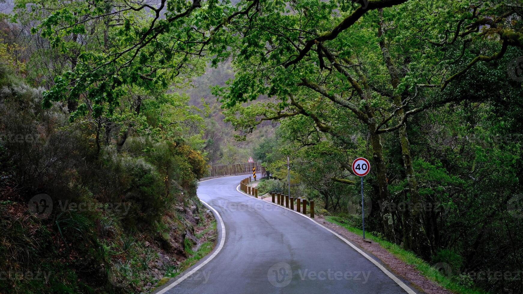 A winding mountain road through a lush green forest, with a speed limit sign visible on the right. photo