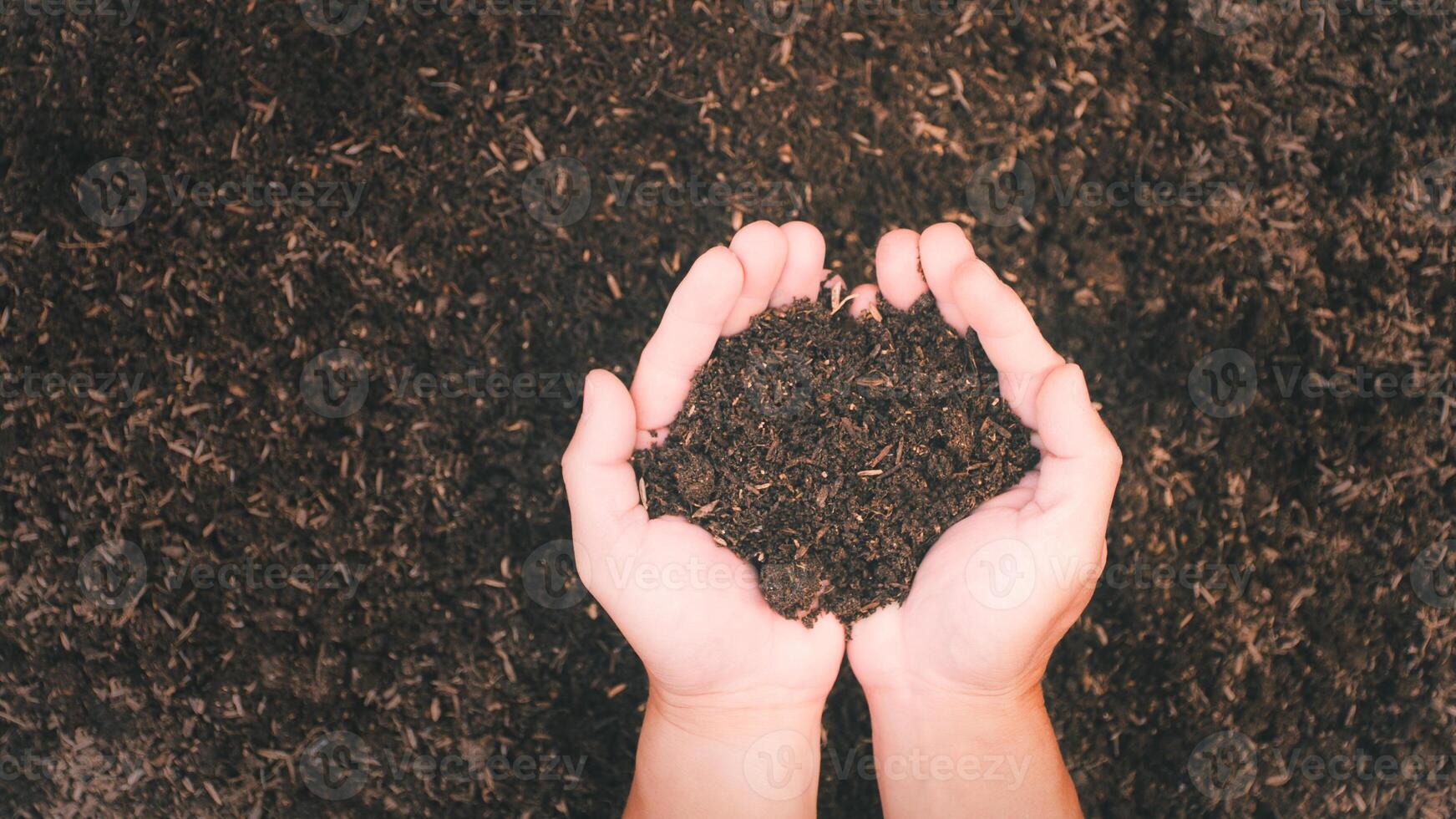 soil contains nitrogen, phosphorus, potassium, and other components which are various micronutrients. that are appropriate and important to plants photo