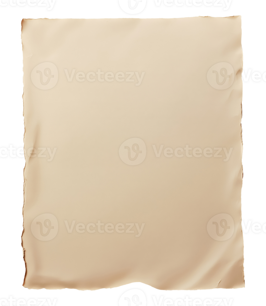 Brown blank paper sheet with torn edges isolated on transparent background png