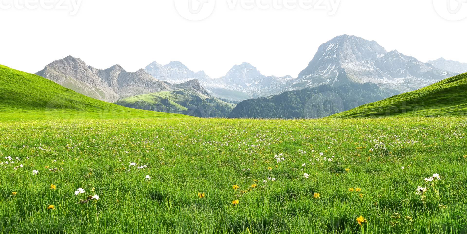 Lush green meadow filled with wildflowers and distant mountain peaks isolated on transparent background png