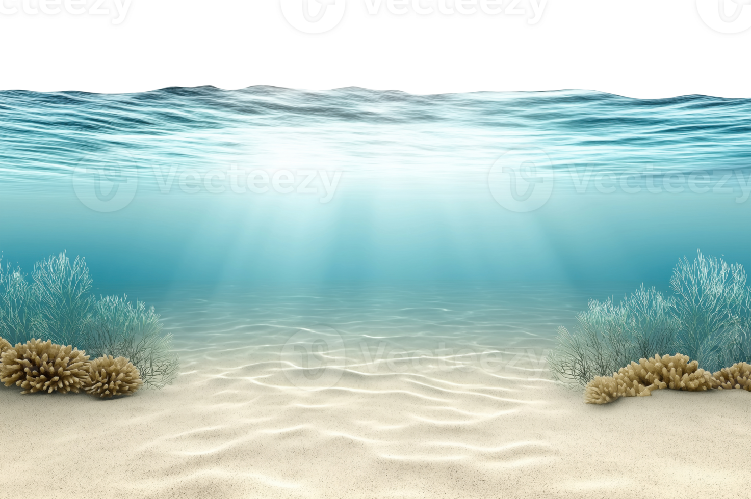 Underwater view showing crystal clear turquoise water with sandy ocean floor and marine vegetation, isolated on transparent background png