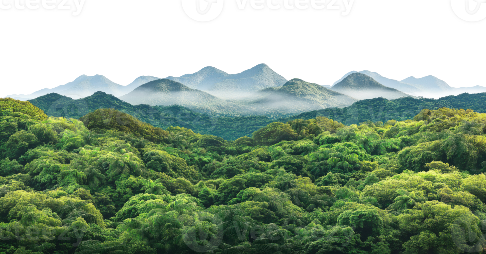 Layered mountain silhouettes with morning mist and rainforest isolated on transparent background png