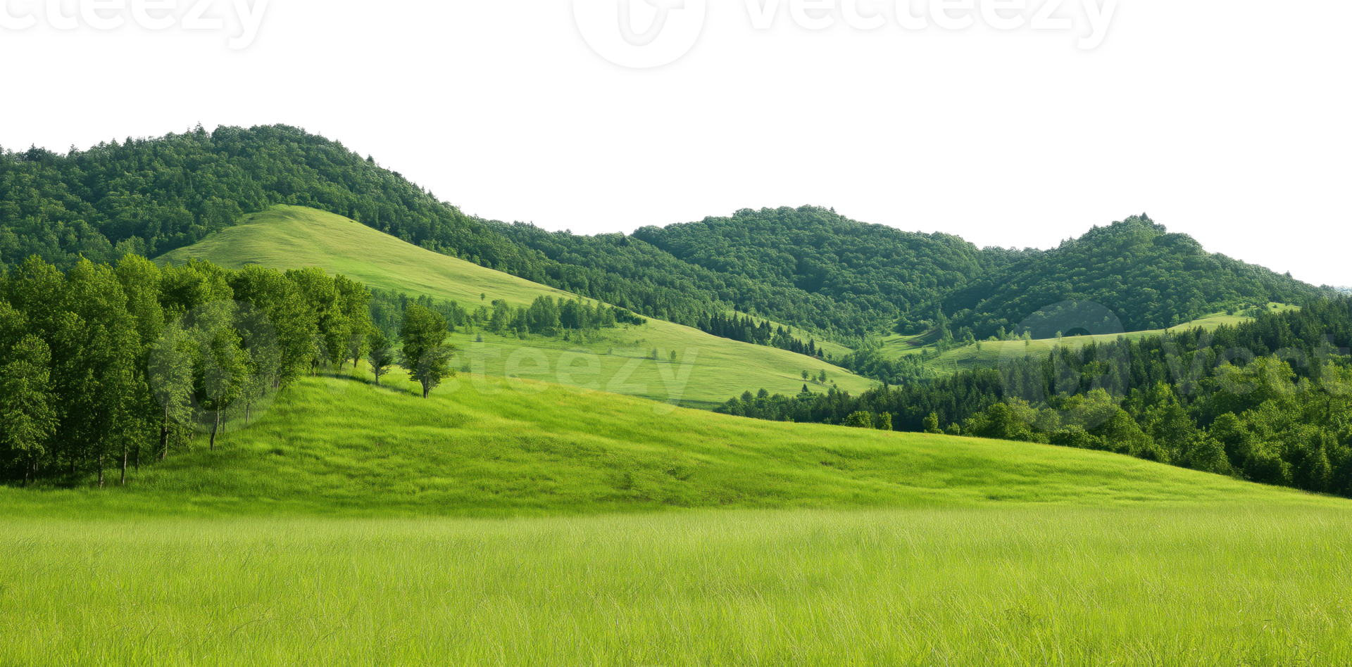Lush green meadow in foreground with forested hills isolated on transparent background png