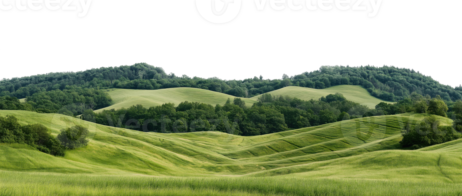 Gentle green hills with scattered trees and forest patches, isolated on transparent background png