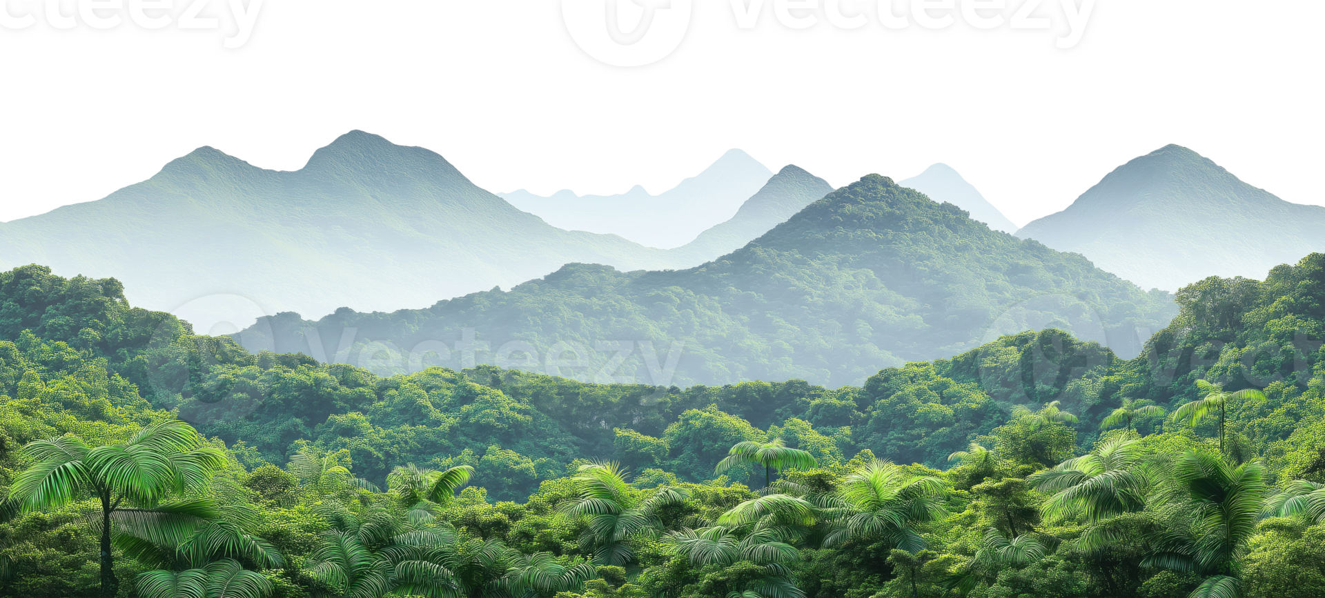 Mountain silhouettes with morning mist and rainforest isolated on transparent background png