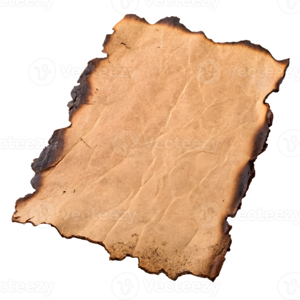 Aged burnt paper fragment with torn edges isolated on transparent background png