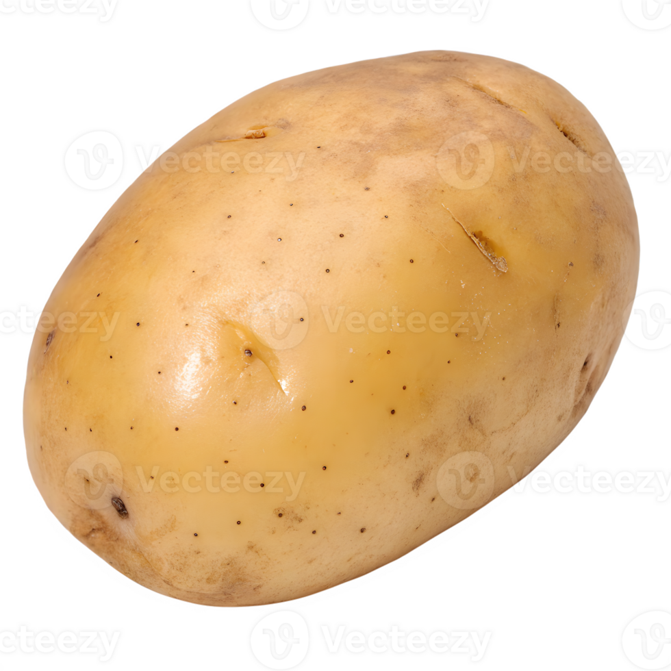 Whole raw potato with light brown skin and small eyes isolated on transparent background png
