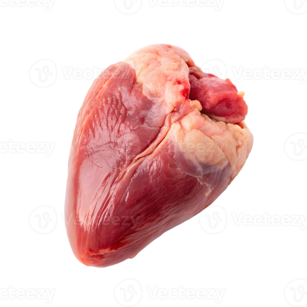 Raw animal heart muscle tissue with fat isolated on transparent background png