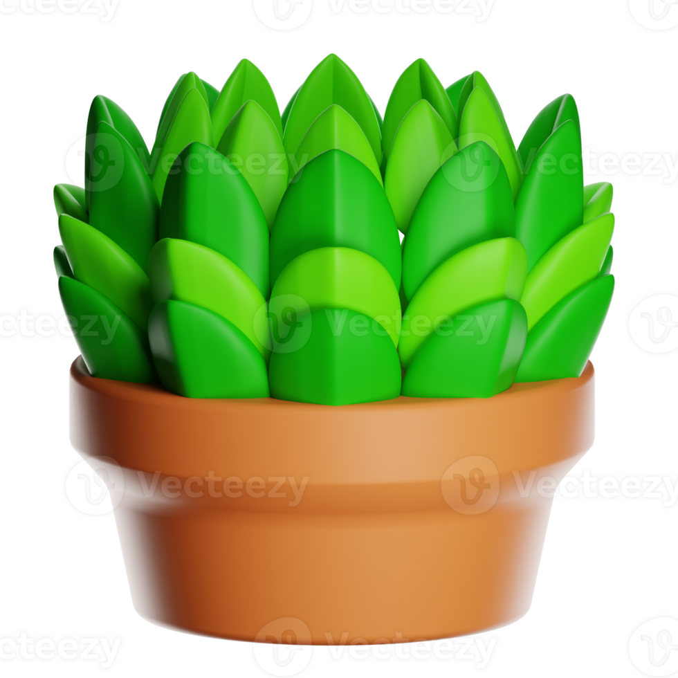 3d rendering of a vibrant green succulent plant thriving in a terracotta pot with transparent background png