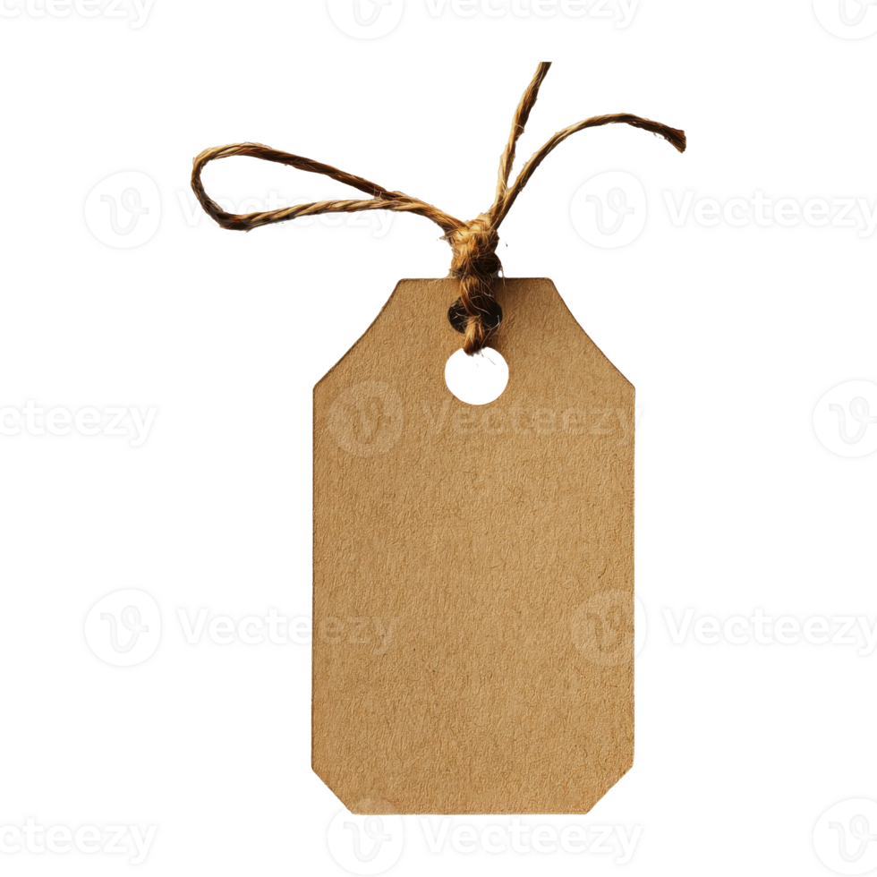 Brown Kraft Paper Tag with Twine Tie on Transparent Background, Realistic Texture png