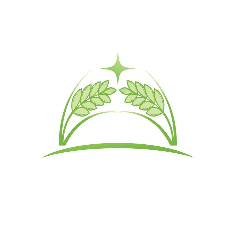 Agriculture wheat Logo Template icon vector