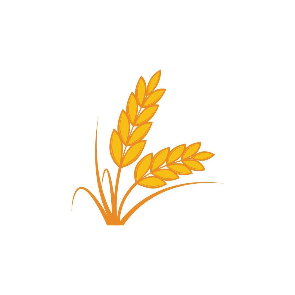 Stylized Agriculture wheat Logo Template icon design vector
