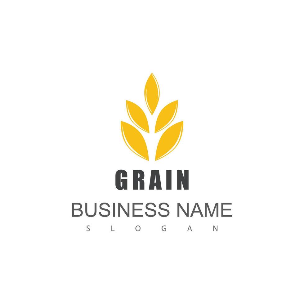 Agriculture wheat Logo Template icon design vector