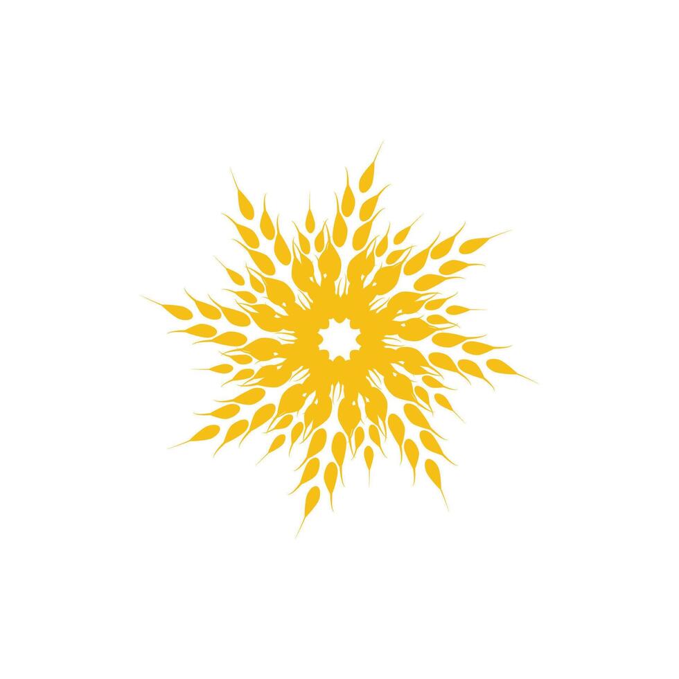 Agriculture wheat Logo vector