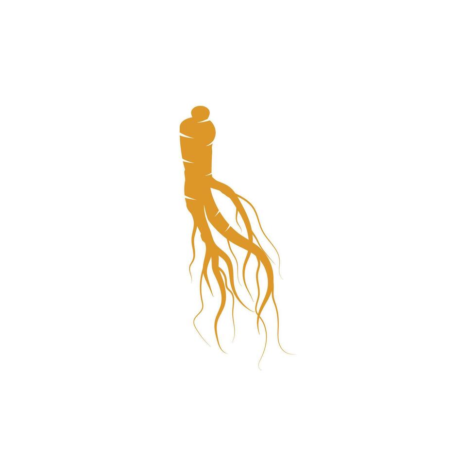 Stylized Ginseng logos vector