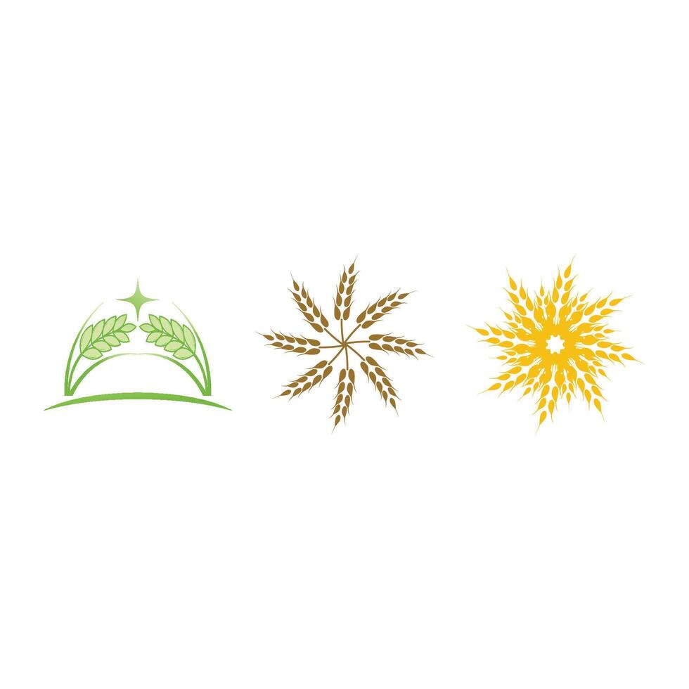 Stylized Wheat logo and symbol vector