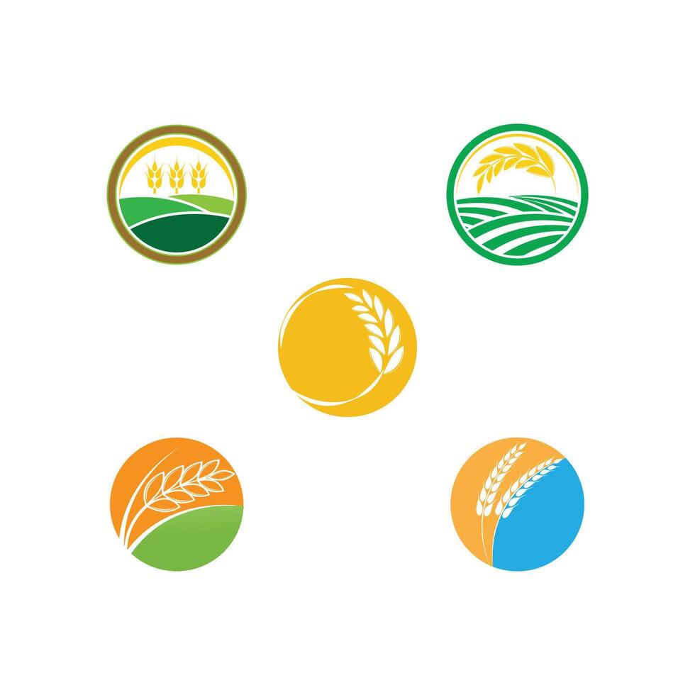 Set Stylized Wheat logo and symbol vector