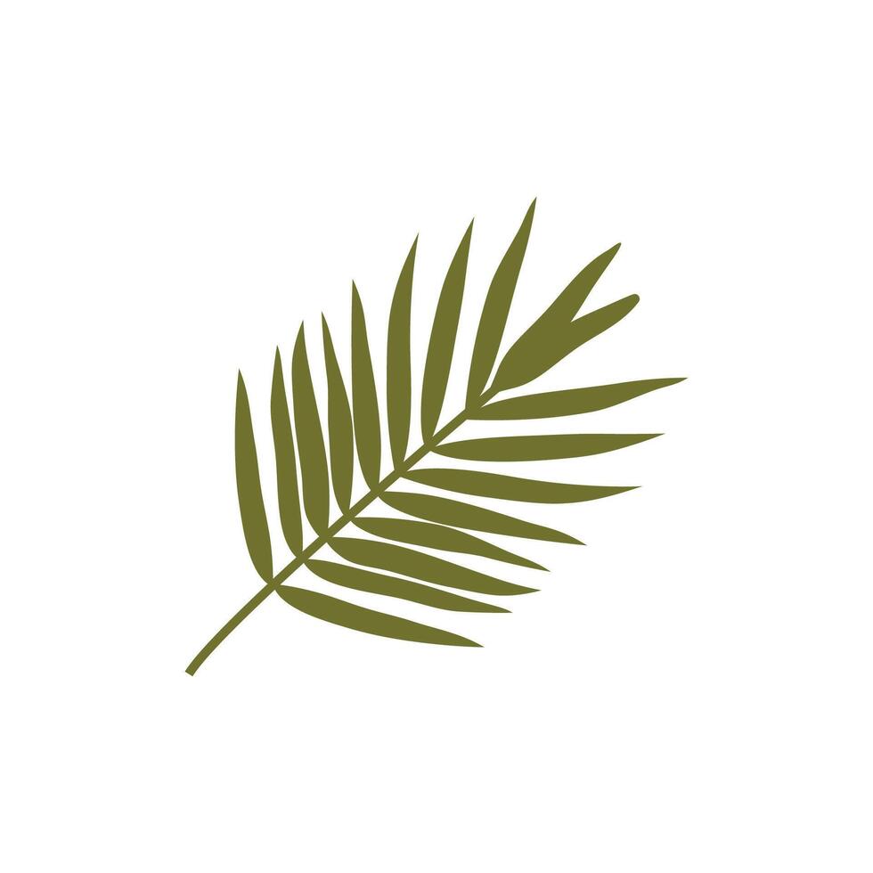Stylized leaf palm logos and symbol vector