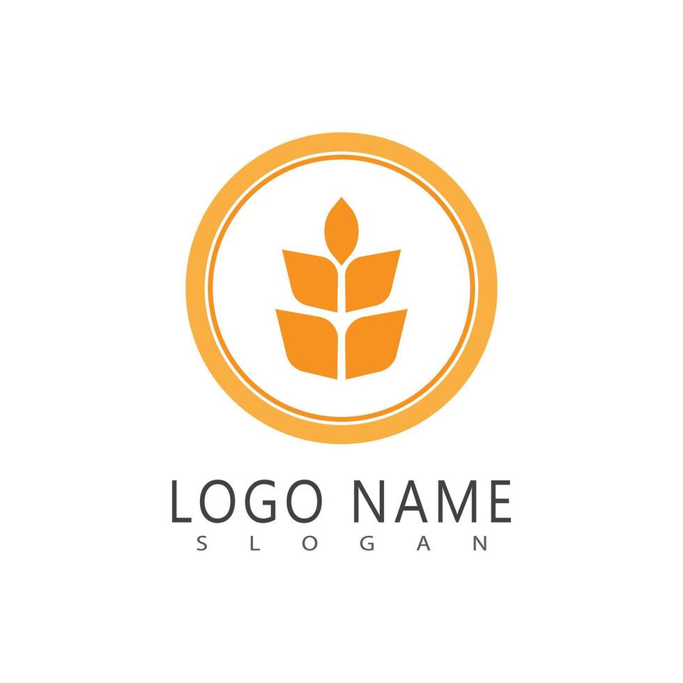 Agriculture wheat simple Logos Template icon design vector