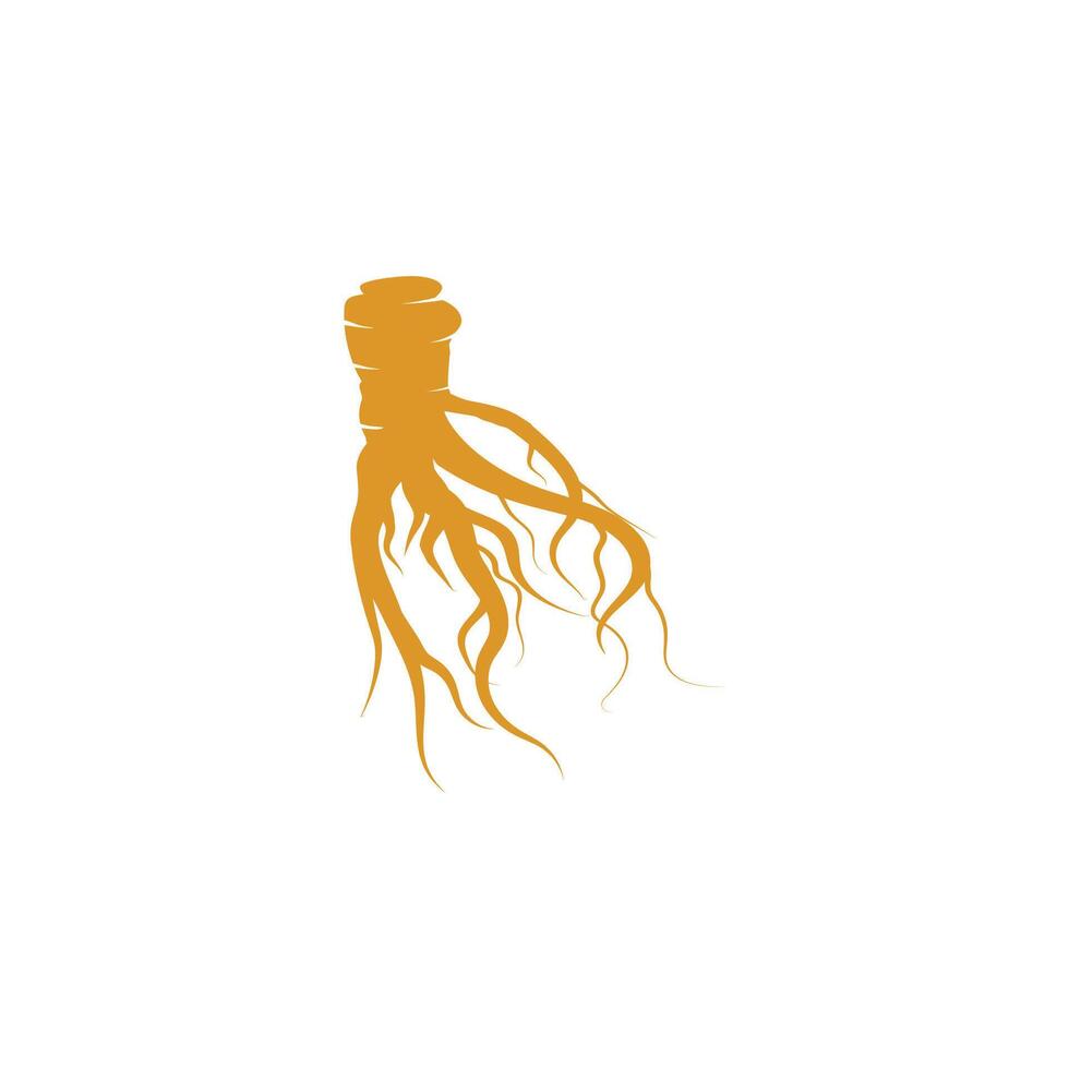 Stylized Ginseng logo vector