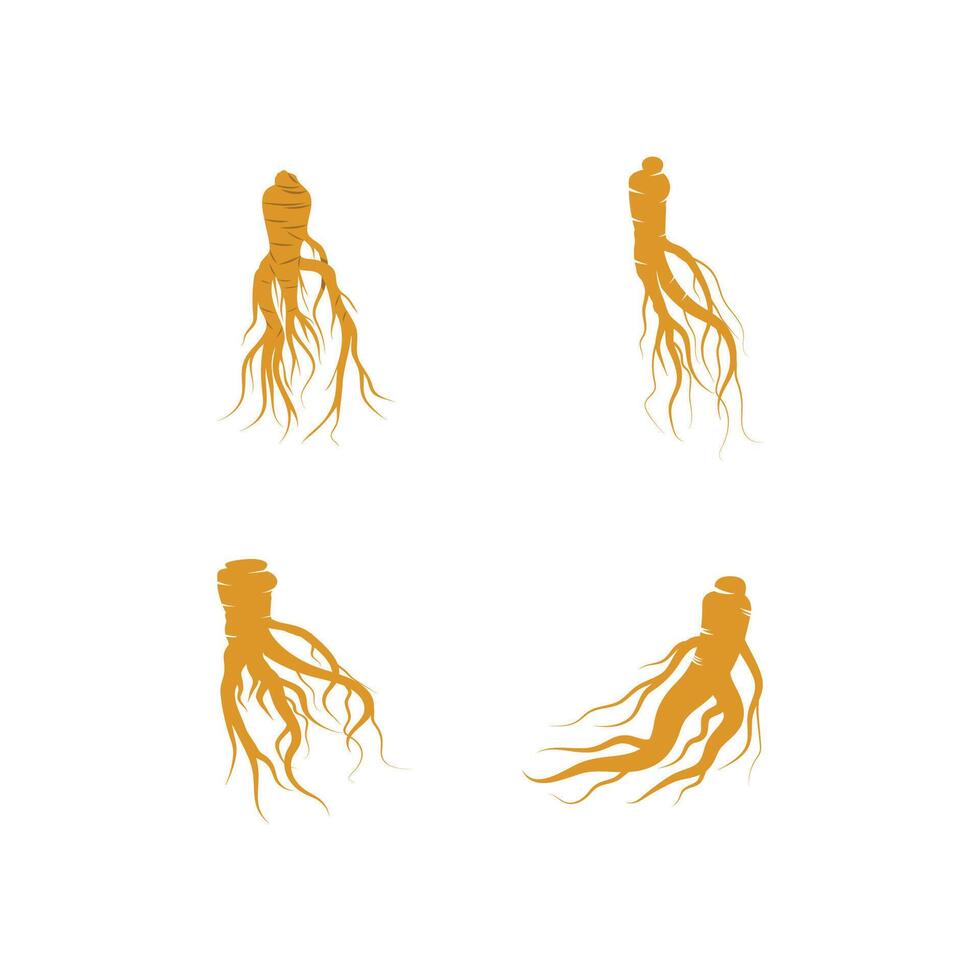 Set Stylized Ginseng logo vector