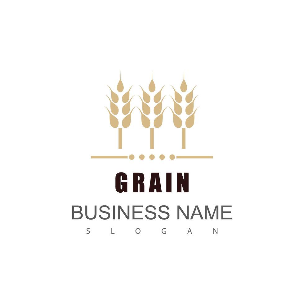 Agriculture wheat Logo Template vector