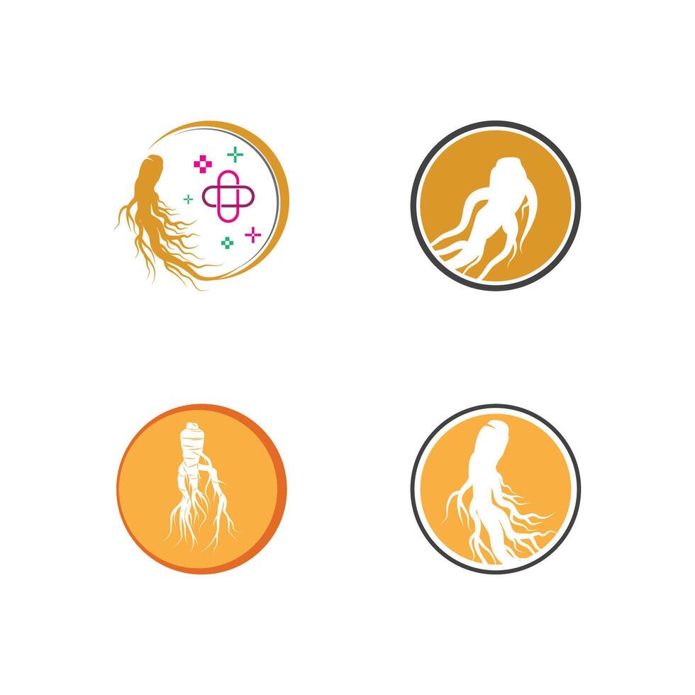 Stylized Ginseng logo and symbol vector