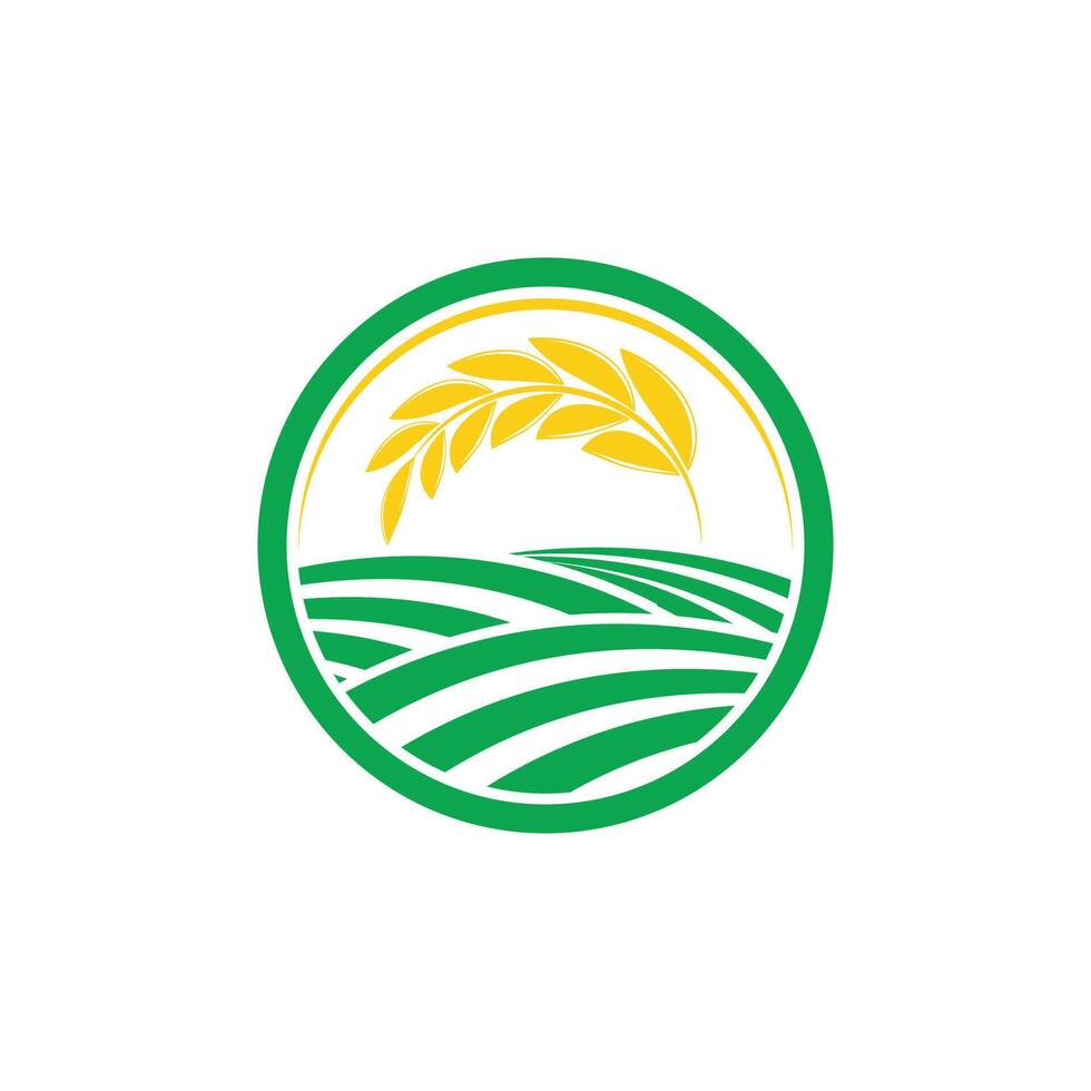 Agriculture wheat Logos Template icon vector